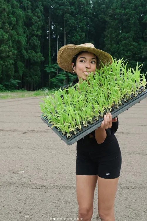 日本で稲作無理ゲー。連日の40℃越えで市民には命を守れ言う一方農家には米作れ。温暖化車カ〇のせい