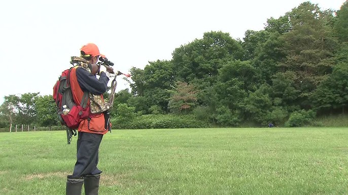 「市街地に出没したクマへの発砲要請されても拒否できる」北海道猟友会が全71支部に通知検討