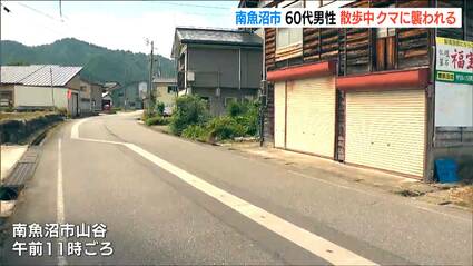 「血がだいぶ出ていた」自宅周辺で散歩中の男性がクマに襲われる 懐中電灯で抵抗しクマは池に 新潟・南魚沼市
