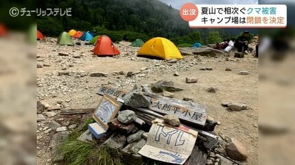 「逃げ隠れしないクマが増えてきてしまった…」キャンプ場のテントや食料を奪われる「普段からクマへの常識を変えて欲しい」　北アルプス