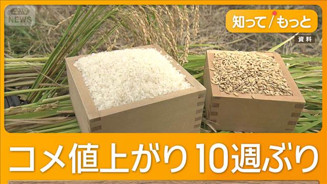 【コメ】コメ値上がり10週ぶり　35円値上がり　備蓄米効果薄れ　今後の価格の見通しは？