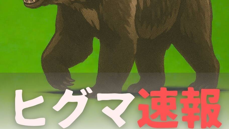 【北海道】「クマが仁王立ちしていた」“北の国から”の富良野で目撃…国道を走っていたドライバーの前に現れ‐線路を横切り立ち去る