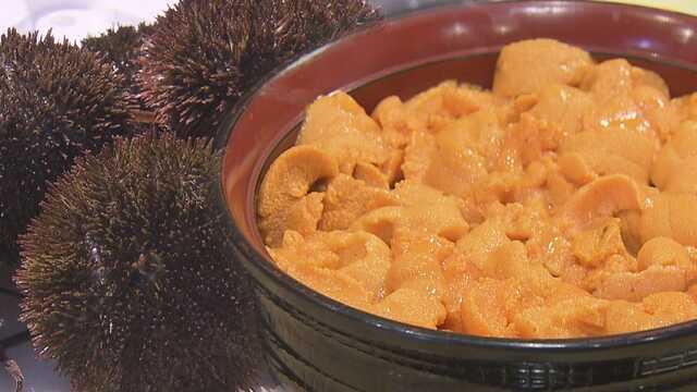 【北海道】名産・エゾバフンウニが姿を消した！　丼ぶりは一杯２万円超えに