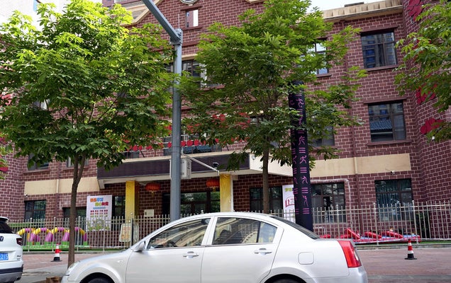 【国際】中国の幼稚園で鉛入りの食事、抜け毛や歯の変色など園児２３４人入院…国基準２０００倍の鉛検出