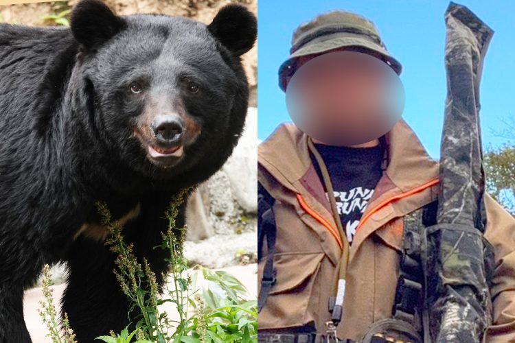 【対峙したハンターが語る熊恐怖体験】「奴らは6発撃っても死なない」「猟犬もビクビクと震え上がった」北海道のヒグマの恐ろしさ