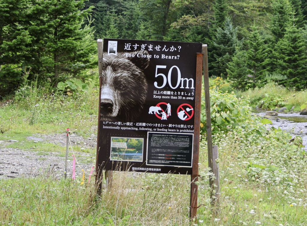 【岩尾別の母】走って下山中ヒグマに遭遇　子を守ろうと攻撃か人を攻撃したことがない穏やかな熊だった