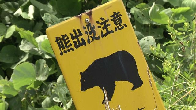 【正論】日本人「クマ殺しやめろ！無能集団！クマの生息地を冒しているのは人間だ」  自治体に苦情殺到