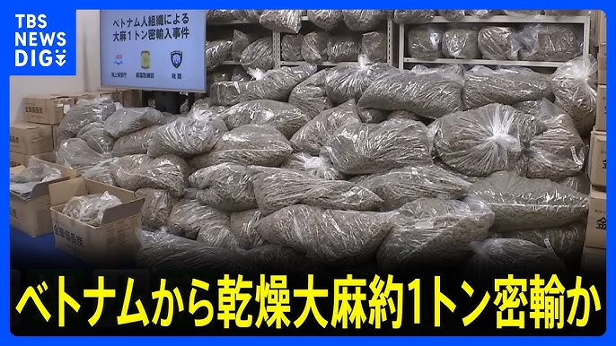再）【東京港】“過去最大”大麻1トン52億円相当密輸かベトナム国籍の女ら逮捕・起訴