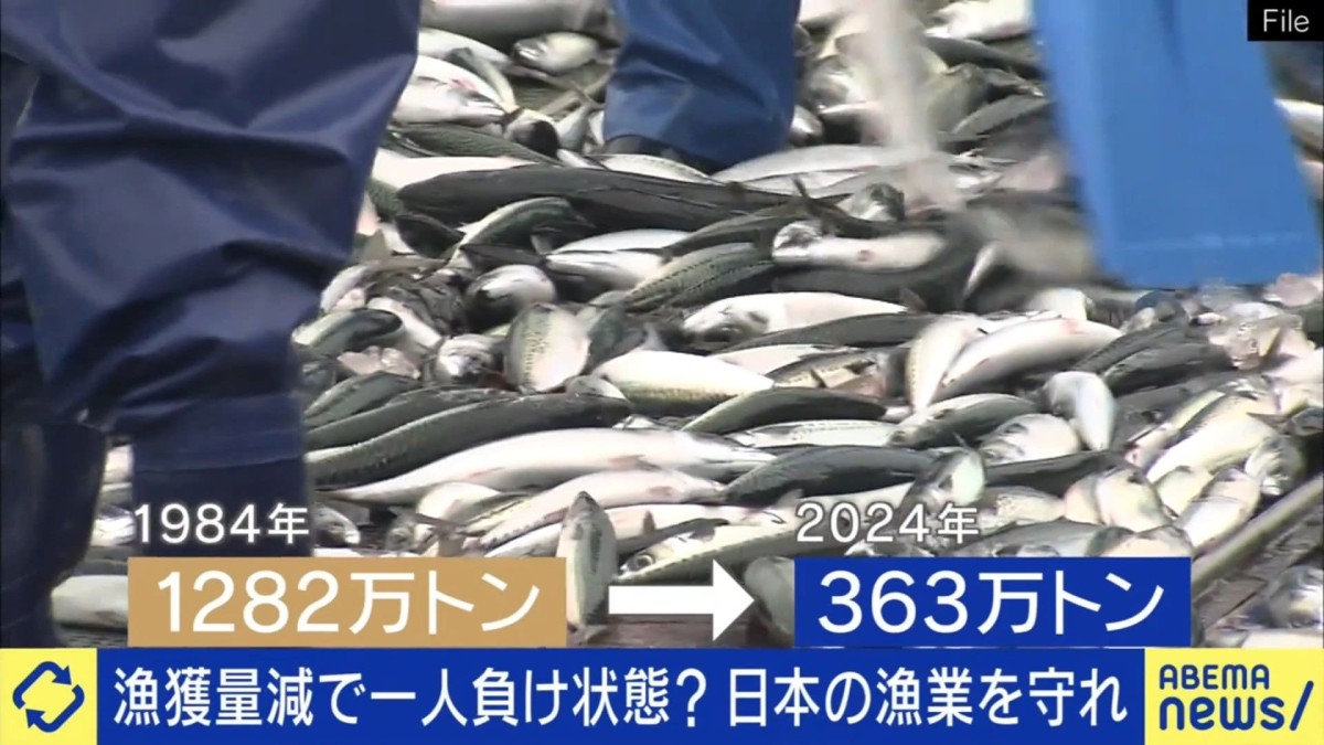 【漁業】25年後、日本に魚がいなくなる？国内漁業の危機的状況に専門家が警鐘「資源管理ができてない」「補助金で休んでもらった方が漁業は復活する」40年間で漁獲量は1/3に激減