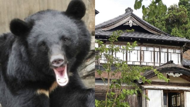 【秋田・元教師エリート父殺人事件】クマ襲撃ではなく「ほとんど引きこもっていた」無職男（51）が殺人容疑で逮捕…「親子仲が悪かった」