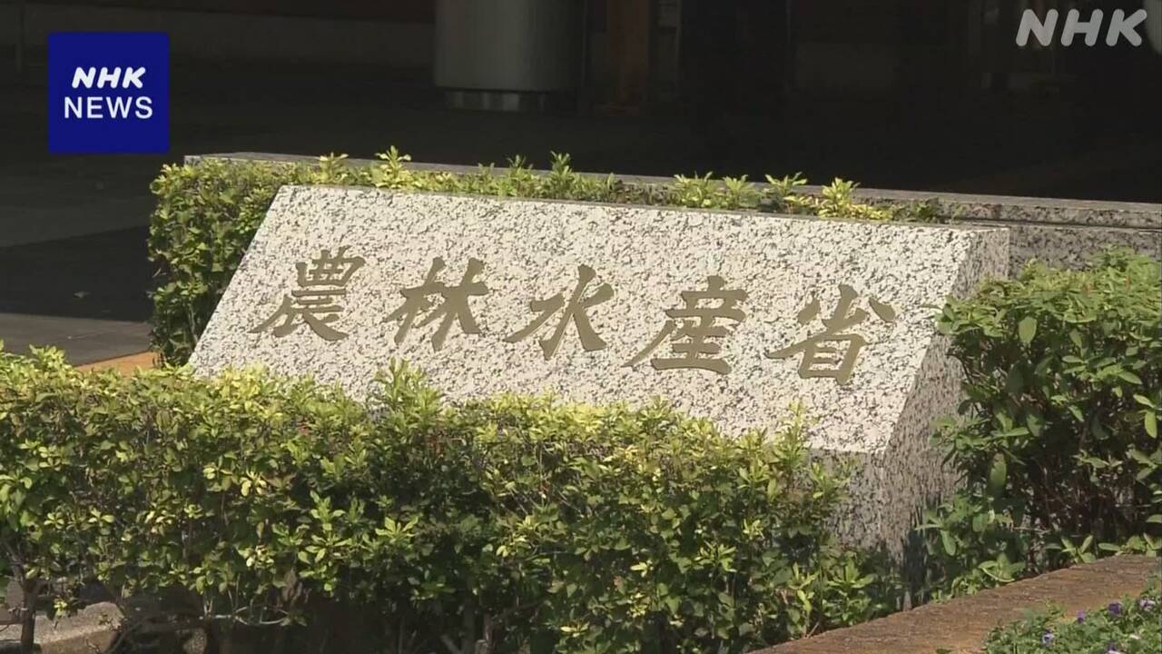 【農水省】 来年度予算案 概算要求 コメ増産事業を重点化する方針