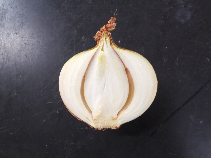 【野菜】タマネギの中が茶色に……「鱗片腐敗病」かも？　食中毒の危険性も