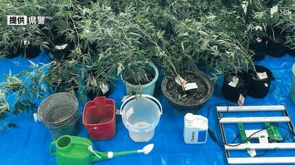 【静岡】民家内で大麻草を営利目的で栽培か消防士長の男ら3人を逮捕208本を押収　静岡県警