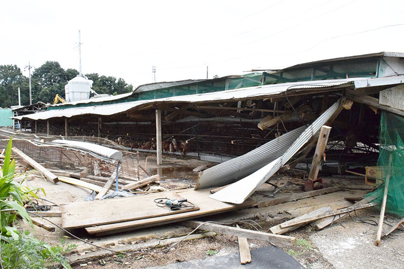 ひどい…埼玉で突風、屋根が吹き飛ばされる　電柱6本も破壊、建物も倒壊　落雷でごう音、男性ぼうぜん「屋根が飛び、電柱が倒れても気付かなかった」
