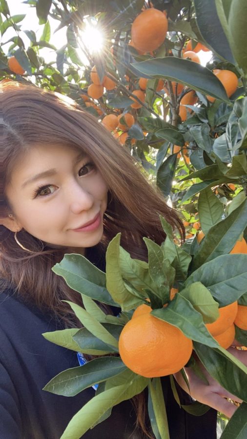🍊悲報】参政党議員のSNSアカウントマークに「やめてくれ…」みかん農家から切実な声
