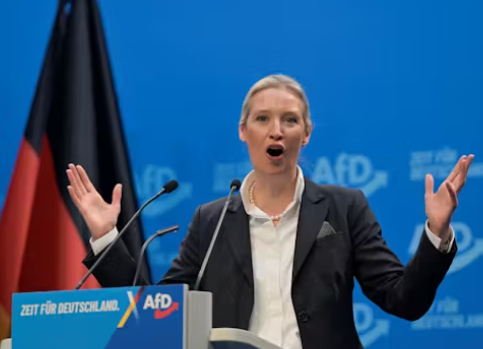 ドイツの参政党「AfD」の地方議員のおうちから大量の爆発物と武器を州警察が押収