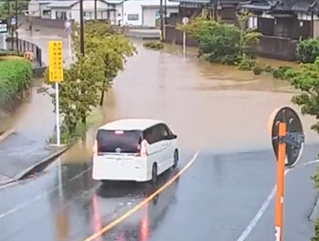 【動画】セレナ、水溜りで死亡…