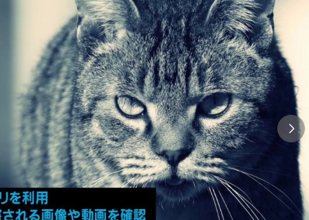 なんで自分より弱い立場の物をいじめるんだ？卑怯だろ？
