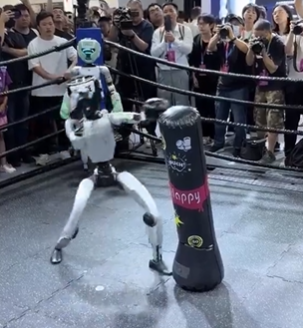 中国のロボット、ボクシング対決するもセルフノックアウト