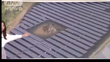 【動画】奈良の古墳、囲まれてしまうｗ
