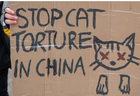 中国拠点の猫虐〇グループ、中心人物は東京在住の国籍不明の男(27歳)