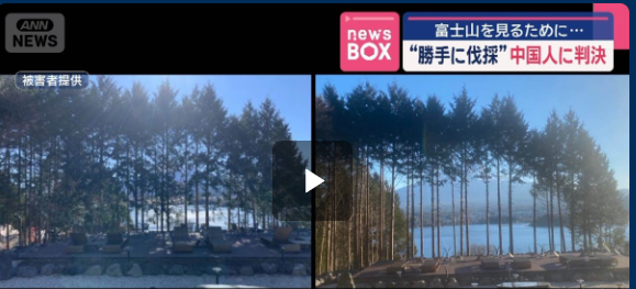 中国人、所有ホテルから富士山が見えるよう無断伐採　裁判所「身勝手で厳しい非難に値する、執行猶予」