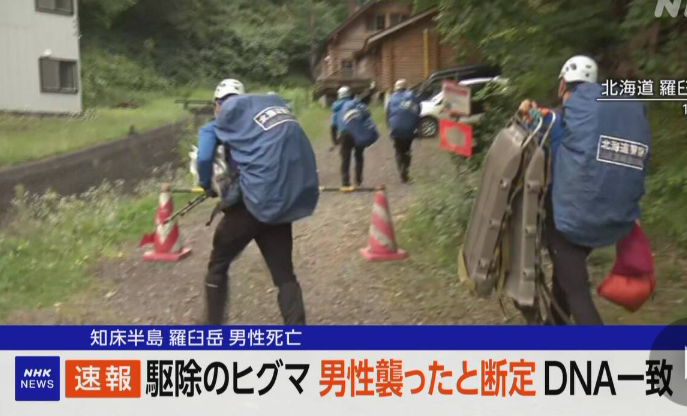 駆除された親子ヒグマ、26歳男性を喰った個体と断定