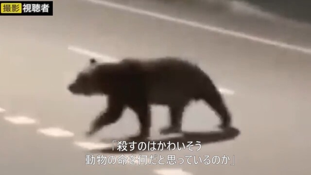 ヒグマ駆除は正義か残酷か？『かわいそう』vs『安全確保を』北海道福島町での死亡事故巡り自治体に寄せられた声から見えてくる分断