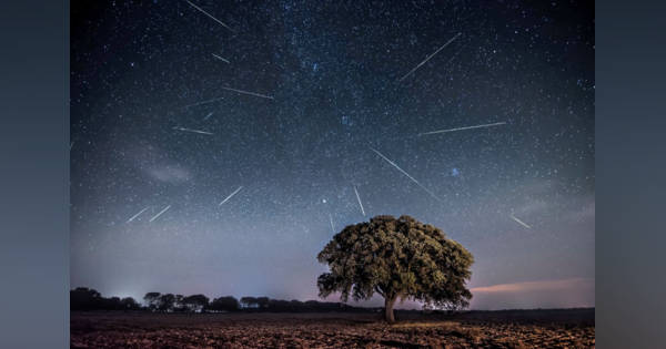 ペルセウス座流星群が極大を迎え、金星と木星が大接近する今週の夜空