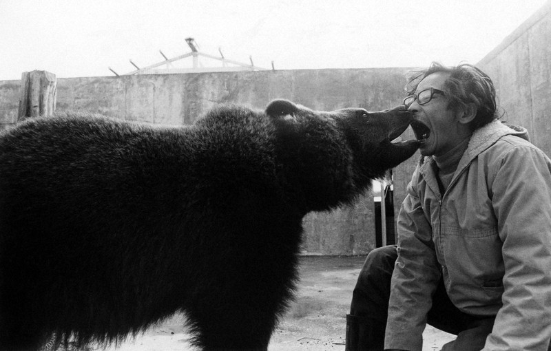 ヒグマと遭遇したらどうすれはわいいの？ムツゴロウさん「言う事聞くまで殴る」