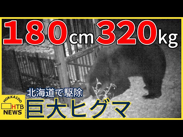 北海道がクマを駆除した際に寄せられた意見一覧