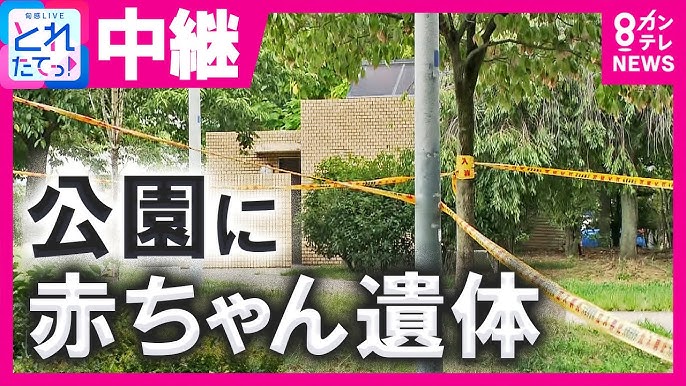 大阪 北区の公園で赤ちゃんとみられる遺体 遺棄されたか