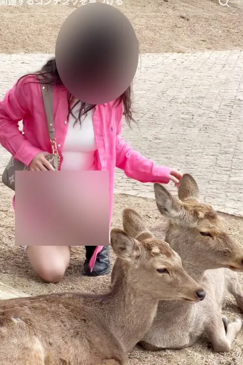 【インバウンド】奈良公園でしゃがむ外国人女性の下着盗撮し動画公開　無職(59)男を逮捕  「外国人観光客を狙って下着を盗撮していた」
