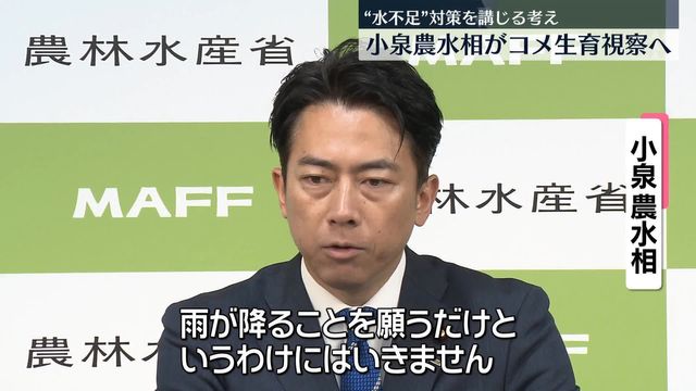進次郎「雨が降ることを願うだけというわけにはいきません」　水不足に苦しむコメ生産現場を視察へ