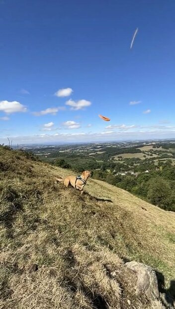 犬とフライングディスク遊びしていた男性が偶然ＵＦＯを撮影　英国
