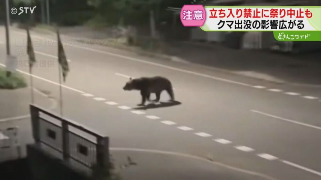 観光地が立入禁止に「本当にクマが出るんだと…」出没相次ぎ影響広がる　祭り中止で落胆の声も　北海道