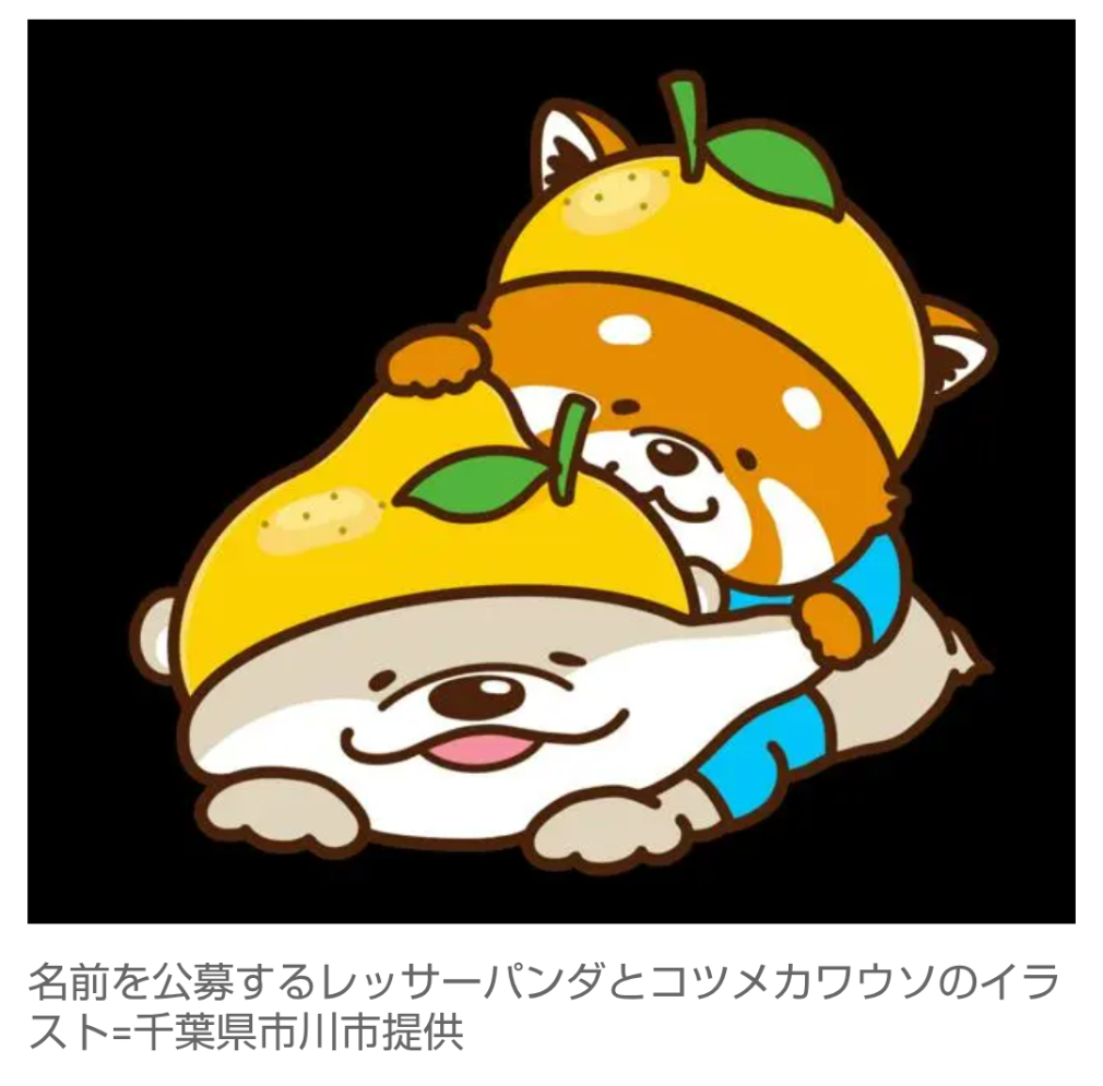 【千葉・市川】レッサーパンダとカワウソを市公式キャラへ、名前を公募　(朝日新聞)