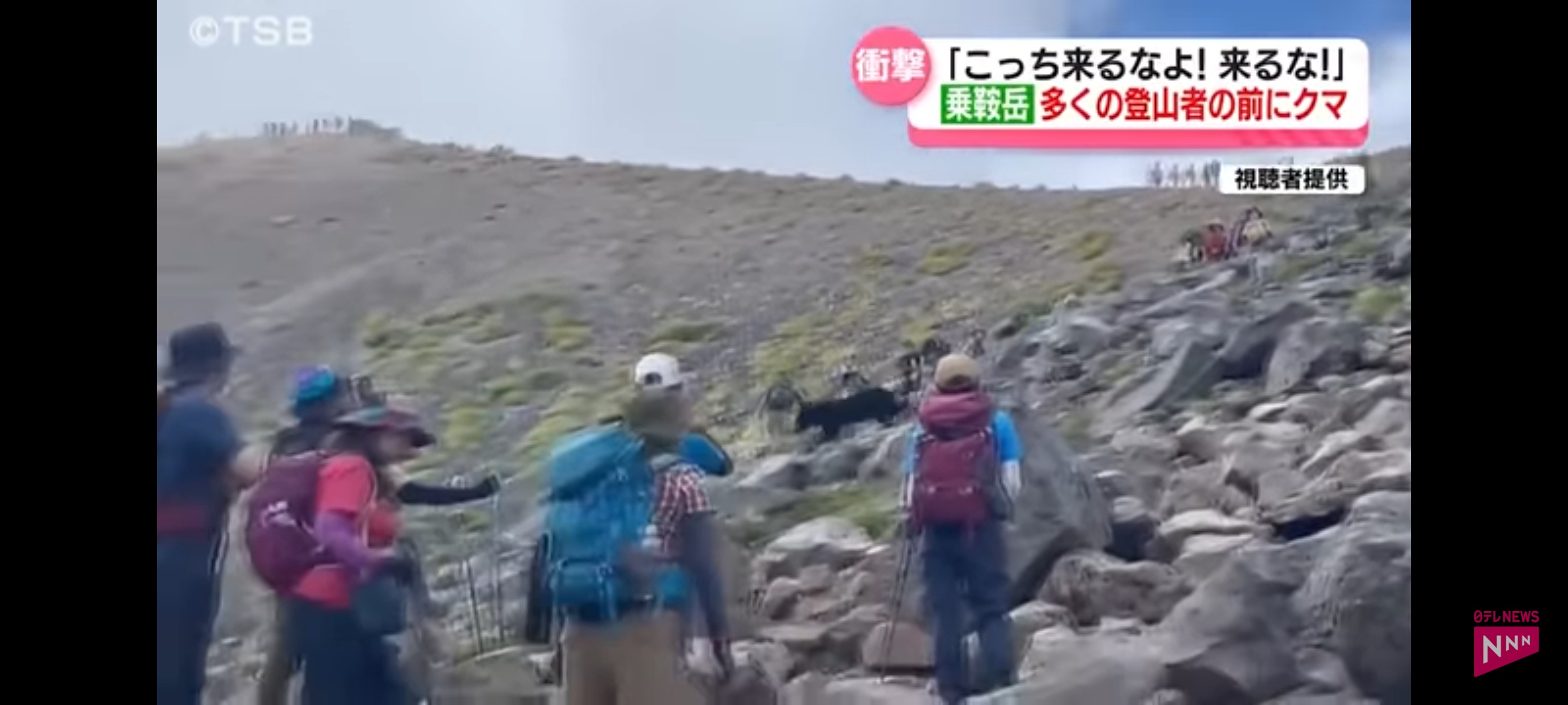 【画像】登山者「こっちに来るなよ！来るな！」熊害、再び