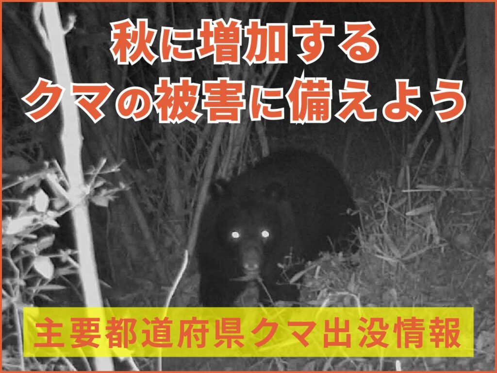 【クマ】ツキノワグマ出没、過去最多　餌不足の秋、警戒―環境省など