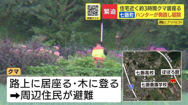 【北海道】七飯町でヒグマ1頭駆除　3時間近くハンターらとにらみ合い　ナシを食べたり木登りしたり　畑の中に住宅が点在する場所