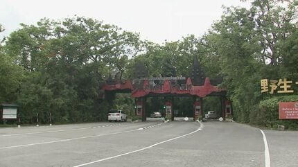 【国際】来園客の目の前で…タイ人気の動物園で飼育員が数頭のライオンに襲われ死亡