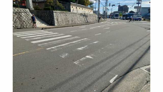 【埼玉】さいたま市で帰宅途中の女子生徒(15)がワゴン車にはねられ死亡　運転手の男(47)現行犯逮捕　青信号の横断歩道を渡っている最中に