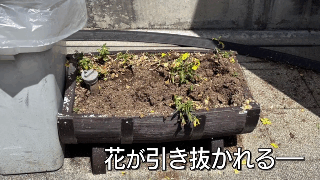 【山梨・甲斐市】「タクシー来ず、むしゃくしゃした」 駅前で花48株を引き抜いた疑い 70歳の男逮捕