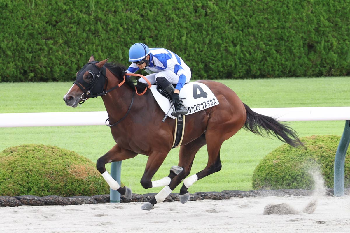 【競馬】高須克弥氏所有タカスタカスタカスが新馬戦快勝！　藤原英昭調教師「名前が効いている」