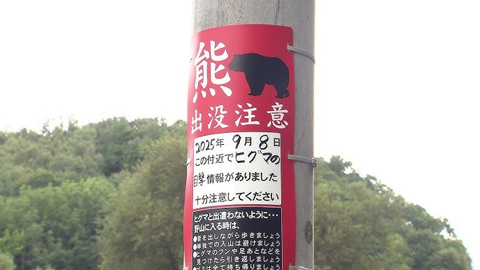 【許可なくヒグマ駆除】ゴルフ場でシカのハンターが…必要な許可を得ずに猟銃でクマ1頭駆除　札幌
