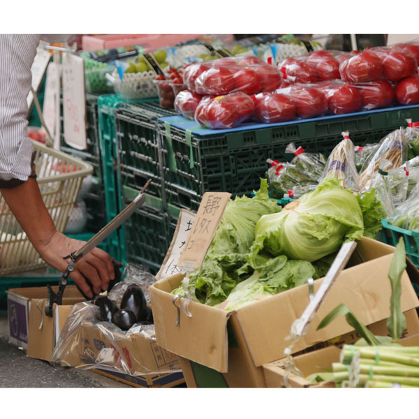【野菜】記録的猛暑&少雨で野菜に大ダメージ…15品目中11品目が高値の衝撃予想