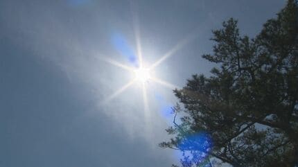 【鳥取】 10代少女が草取り後に気分不良、搬送時は意識なし…100歳代女性が住居での作業後に気分不良…10代女性が工場での作業中に体調不良　熱中症疑いの救急搬送相次ぐ
