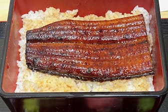ウナギ製品「99％は絶滅危惧」中央大、世界の流通量分析