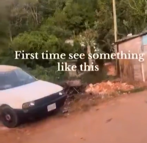 アフリカの自動車修理をご覧ください