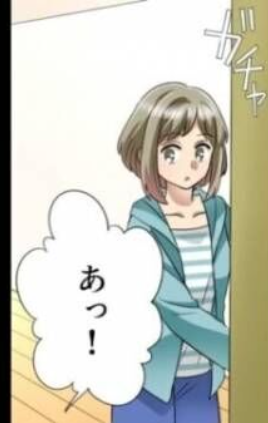 44歳男性、アパートに帰宅したら知らない女がいたため警察に通報　27歳の女を住居侵入の容疑で逮捕